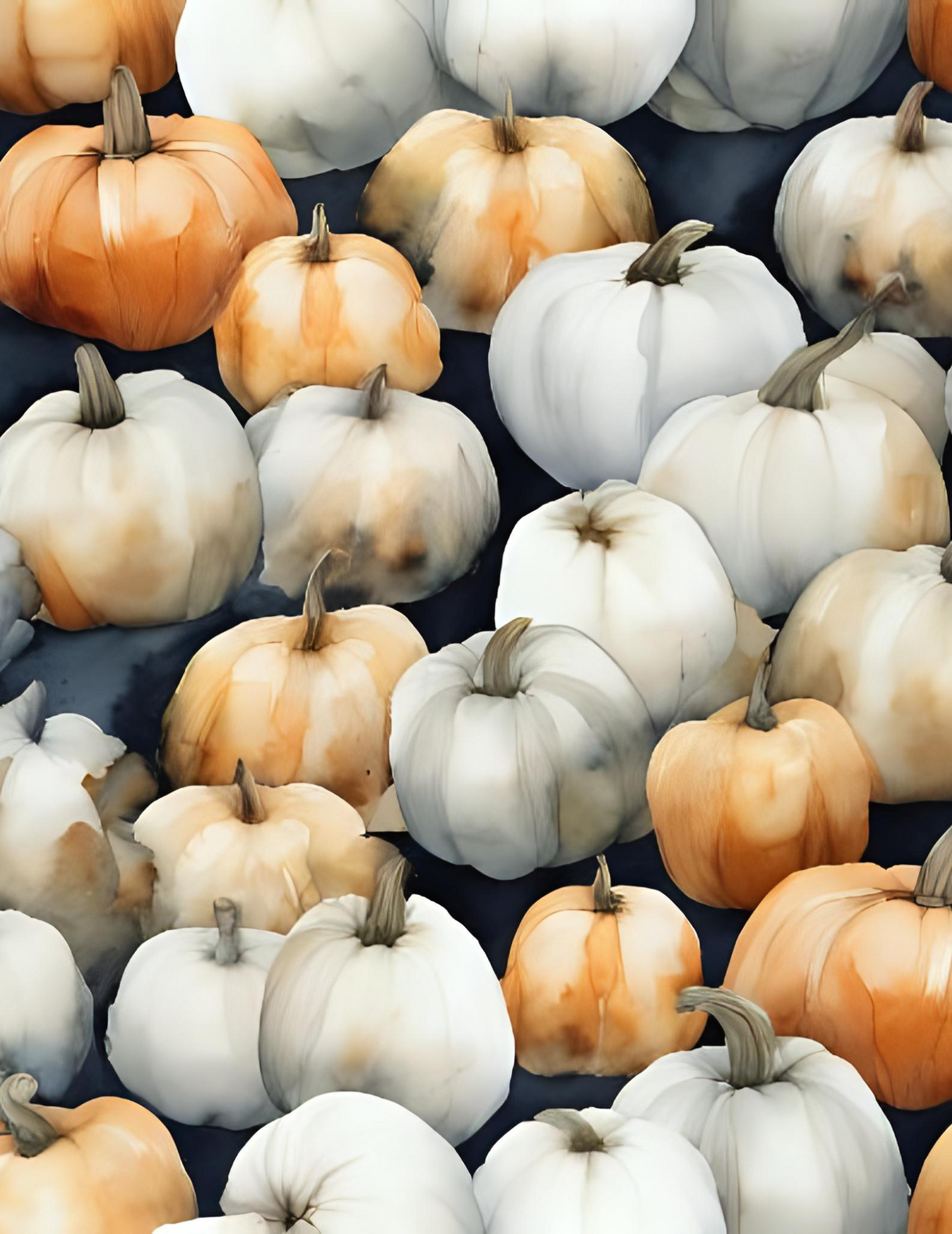 P7- Pumpkins (set3) prints